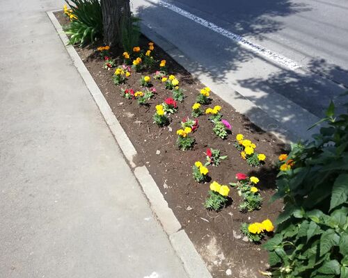 200394489_3785590968236871_7714528209153164726_n